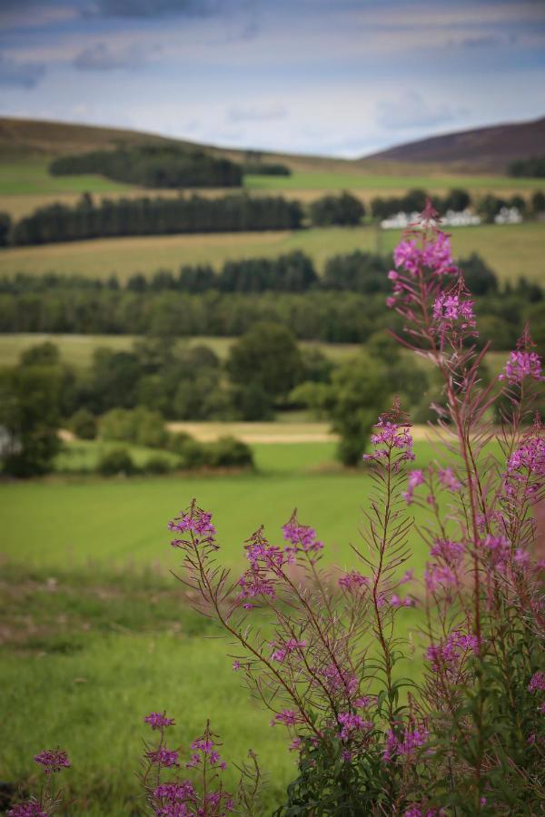 Clova Pod, Kilry Eco Pods Hotel Blairgowrie and Rattray Exterior foto